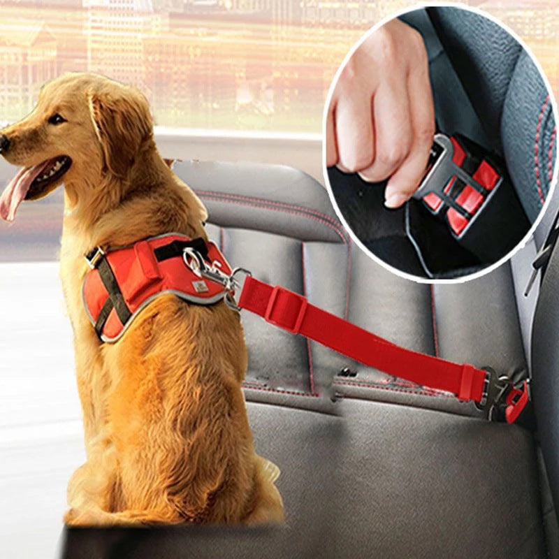 Telescopic Traction Rope For Pet Car Seat Belt | Auto Heaven USA